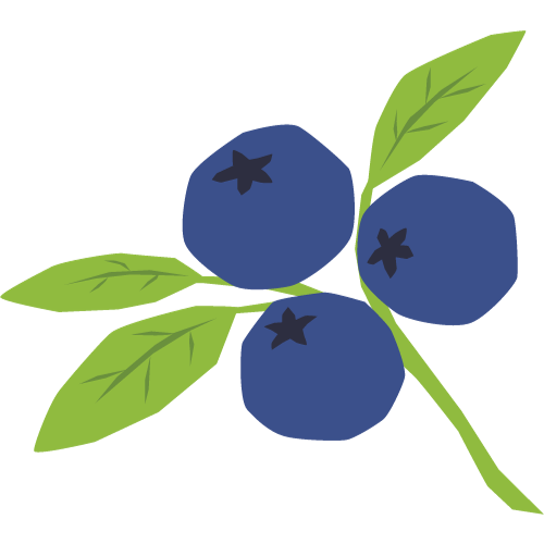 blueberries